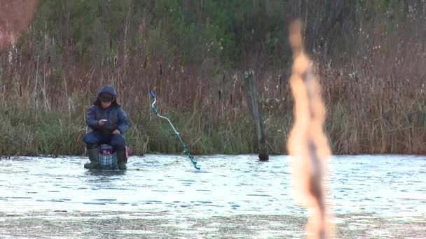 Cane on the frozen lake — Stock Video