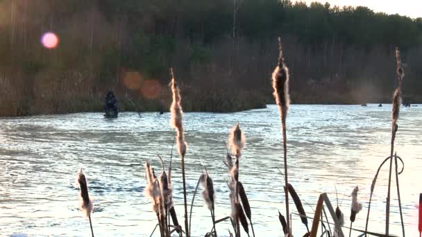 Fishing on the ice — Stock Video