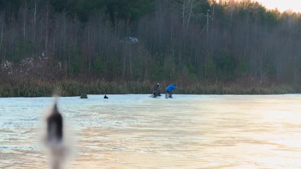 Fishing on the ice — Stock Video