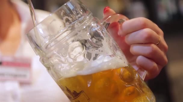 Налейте пиво — стоковое видео