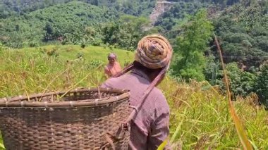 Rangamati Chittagong dağ yolu 22 Eylül 2024: Bangladeş 'in yamaçlık bölgelerindeki Adivasis ve kabile toplulukları tepe kayması ya da jum chash. Geleneksel bir ektir..