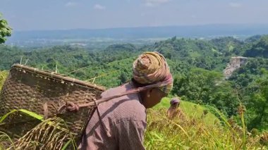 Rangamati Chittagong dağ yolu 22 Eylül 2024: Bangladeş 'in yamaçlık bölgelerindeki Adivasis ve kabile toplulukları tepe kayması ya da jum chash. Geleneksel bir ektir..