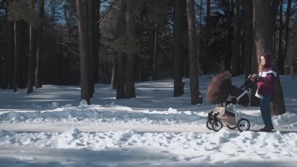 Молода мама гуляє зі своєю дитиною в колясці в лісі. Зима — стокове відео