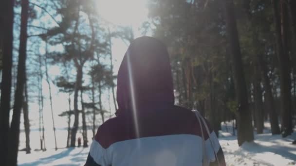 Вид ззаду. Дівчина гуляє лісом у сонячний зимовий день . — стокове відео
