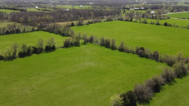 Aerial po powolnym wideo pięknych zielonych pól wiosennych pod słońcem. — Wideo stockowe