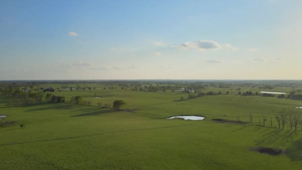 Aerial following view of a picturesque summer green landscape under the sun. — Stock Video