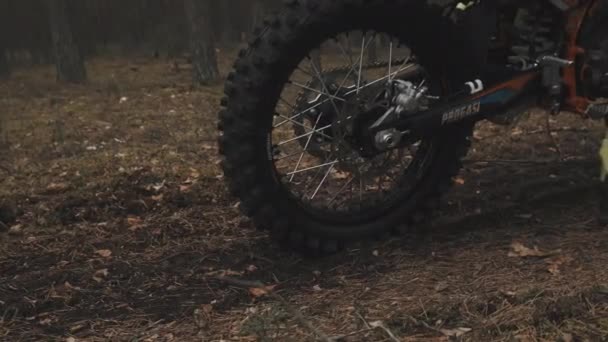 Egy motocross motor hátsó kereke vontatja az erdőt. A motoros azzal indítja a mozgást, hogy megáll az erdőben.. — Stock videók