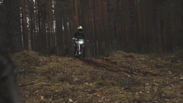 Ein Motorradfahrer fliegt durch ein kleines Sprungbrett im Wald. Motocross im Wald. — Stockvideo