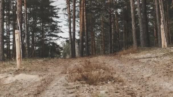Un motard vole à travers un petit tremplin dans la forêt. Motocross dans les bois. — Video