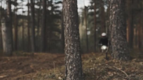 Motociclista supera una pista difícil en el bosque a alta velocidad. Motocross en el bosque. — Vídeos de Stock