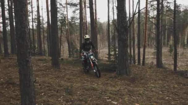 Motociclista supera una pista difícil en el bosque a alta velocidad. Motocross en el bosque. — Vídeos de Stock