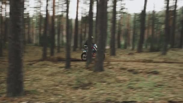 摩托车手在森林中以高速冲破了一条很困难的小路.森林里的十字交叉. — 图库视频影像