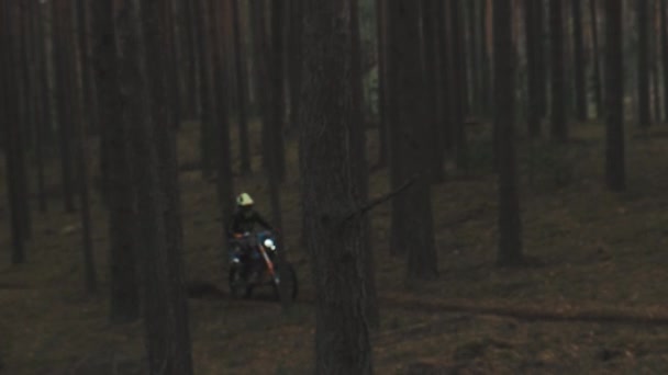 Motociclista supera una pista difícil en el bosque a alta velocidad. Motocross en el bosque. — Vídeos de Stock