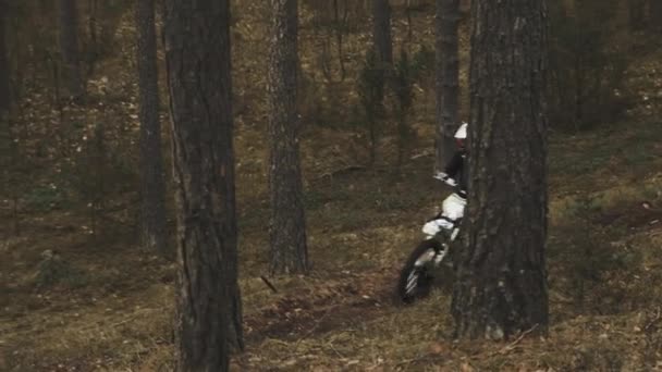 Motocycliste surmonte une piste difficile dans la forêt à grande vitesse. Motocross dans les bois. — Video