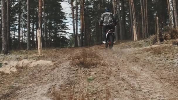 Группа мотоциклистов едет по лесу. Они летят за горизонт. Мотокросс в лесу. — стоковое видео