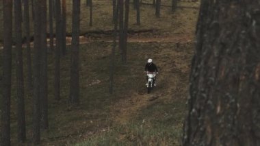 Motosikletçi ormanda yüksek hızda zorlu bir pistin üstesinden gelir. Ormanda motokros.