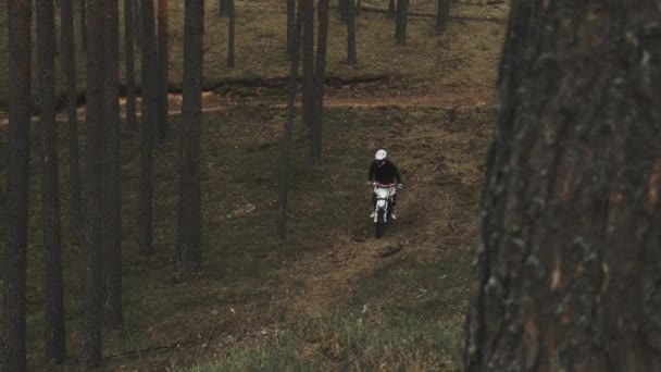 Motociclista supera una pista difícil en el bosque a alta velocidad. Motocross en el bosque. — Vídeos de Stock