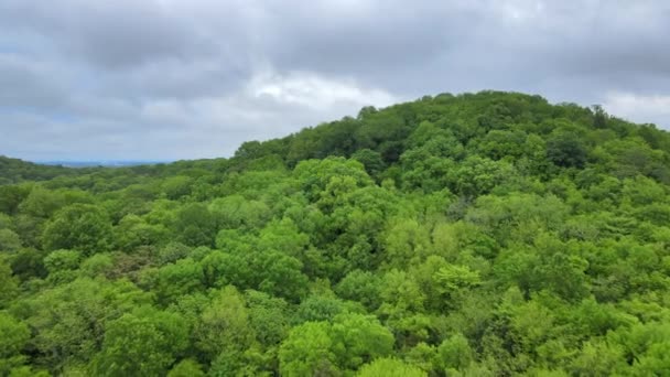 Vzdušné ptáci pohled panoramatický pohled na obchodní centrum města Kansasu v pochmurném počasí. — Stock video