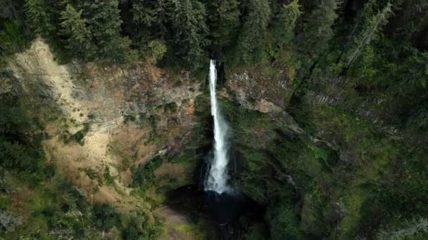 Een prachtige waterval. Water stroomt naar beneden van een grillige donkere klif. Lage bomen groeien op een rots. — Stockvideo