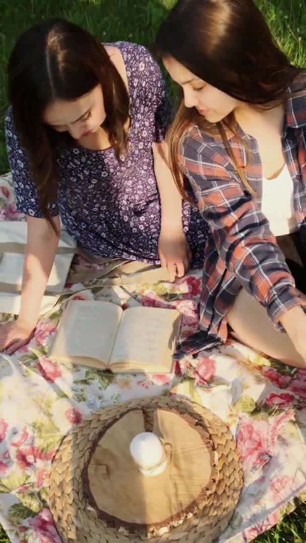 Zwei Schwestern wandeln in der Natur, kommunizieren, teilen Geheimnisse und lesen ein Buch. Vertikales Video. — Stockvideo