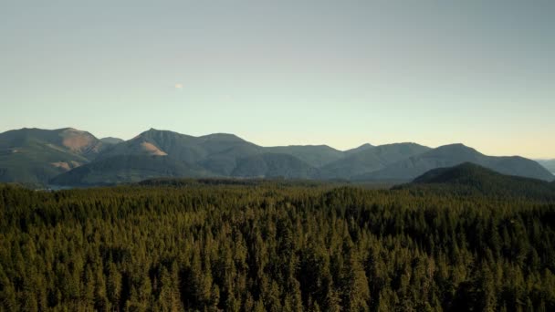 Vista panorâmica da floresta e das montanhas. Voo suave através da floresta. — Vídeo de Stock