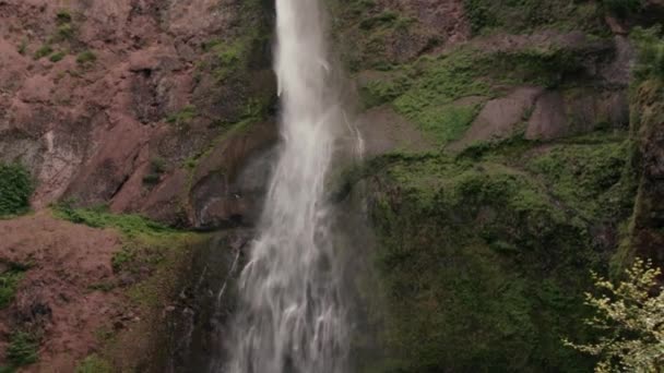 素晴らしい明確な滝,ワキナフォールズへのアメリカでのハイキング,オレゴン州. — ストック動画
