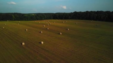 İHA 'dan alınmış bir çerçeve. Çok sayıda saman yığını olan bir tarla..