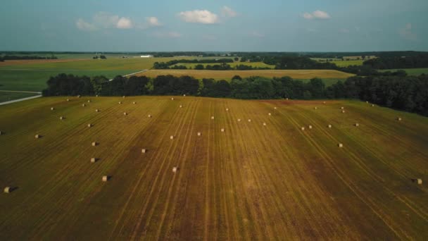 Un marco tomado de un dron. Un campo con un gran número de pajar. — Vídeos de Stock