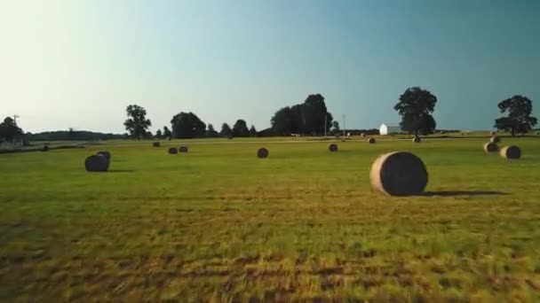 En ram tagen från en drönare. Ett fält med ett stort antal höstack. — Stockvideo