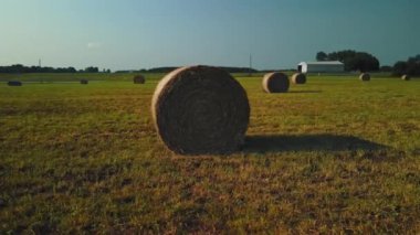 İHA 'dan alınmış bir çerçeve. Çok sayıda saman yığını olan bir tarla..
