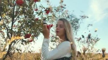 Güzel elbiseli genç bir kız bir kürek ağacının yanında duruyor. Ağaçtan meyve toplar..
