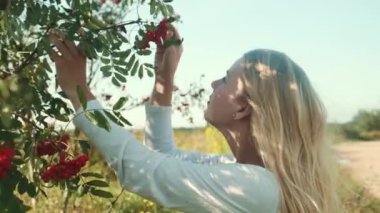 Güzel elbiseli genç bir kız bir kürek ağacının yanında duruyor. Ağaçtan meyve toplar..