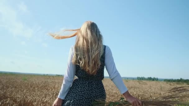 Güzel elbiseli genç bir kız dikenli kazık ve buğdayla bir tarlada yürüyor.. — Stok video