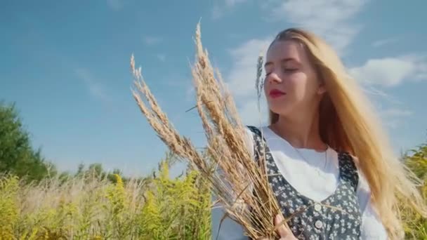 Молодая девушка в красивом платье ходит по полю с шипами и пшеницей. — стоковое видео