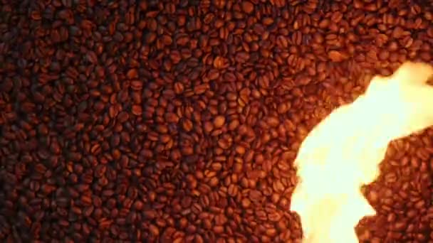 Semi di caffè di medie dimensioni. Chicchi di caffè aromatici sono torrefatti, caffè aromatico caldo. Preparato nell'industria del caffè torrefatto. — Video Stock