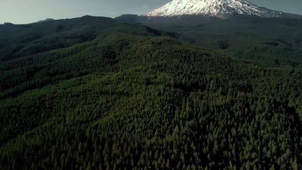 Mount St Helens nationella vulkaniska monument. Washington USA — Stockvideo