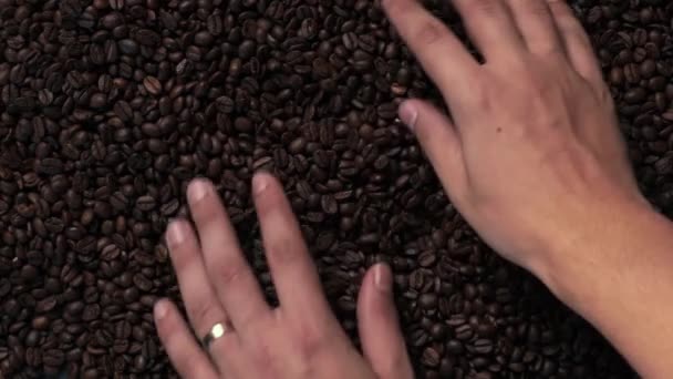 Mano sosteniendo muchos granos de café — Vídeos de Stock