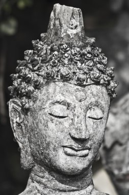 Budda kafa 003