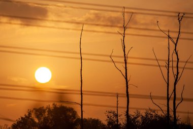 Nehrin üzerinde gün doğumu