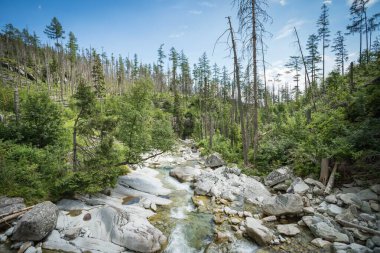 Slovakya 'nın High Tatras kentindeki Büyük Soğuk Vadi' deki şelale. Bulutlu gökyüzü.