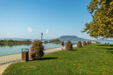 Açık mavi gökyüzü altında renkli çiçekli çalılar, otlar, patikalar ve uzak tepelerin yer aldığı Balaton Gölü 'ndeki göl gezintisinin rahatlatıcı görüntüsü, Macaristan' da dinlenme, seyahat ve açık hava eğlencesi için ideal huzurlu bir atmosfer yakalıyor..