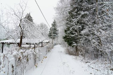 Kırsaldaki ilk kar ve buz. Kış geliyor.