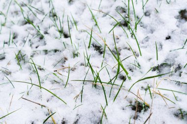 Kırsaldaki ilk kar ve buz. Kış geliyor.