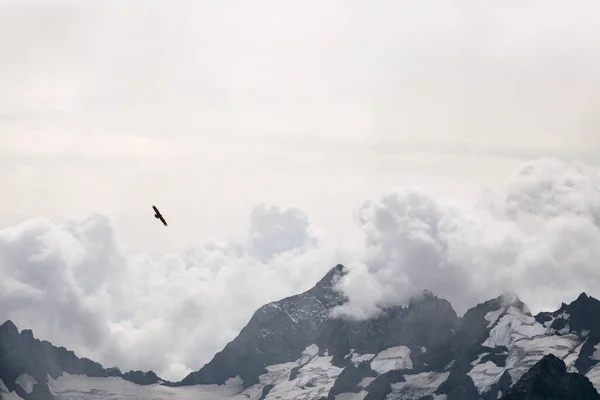 Snowy mountain range and soaring eagle in the clouds. Caucasus, Russia — Stock Photo, Image