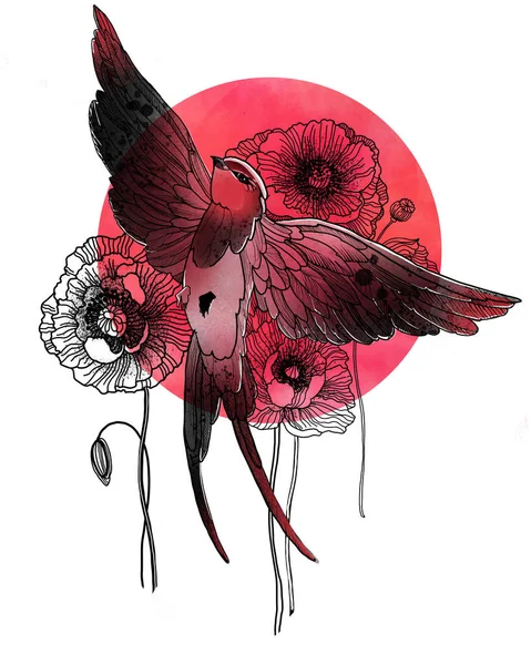 Illustration Skizze Tätowierung Frühling Schwalbe Und Rote Mohnblumen — Stockfoto