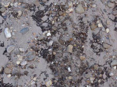 Yağmurdan sonra taşlı kum, gri, beyaz, mavi ve sarı