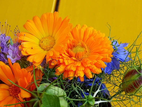 bouquet with flowers from the vegetable garden, on a yellow background