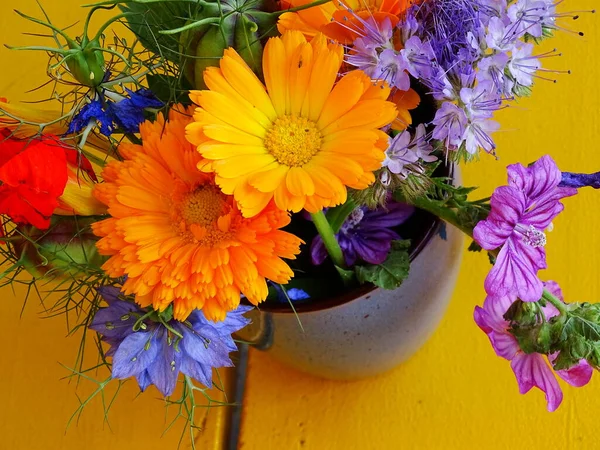 bouquet with flowers from the vegetable garden, on a yellow background