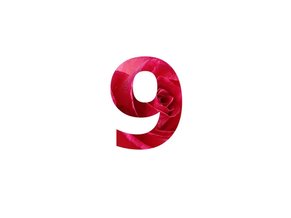 Numer Alfabetu Zrobionego Zdjęcia Czerwonej Róży Odizolowanego Białym Tle — Zdjęcie stockowe