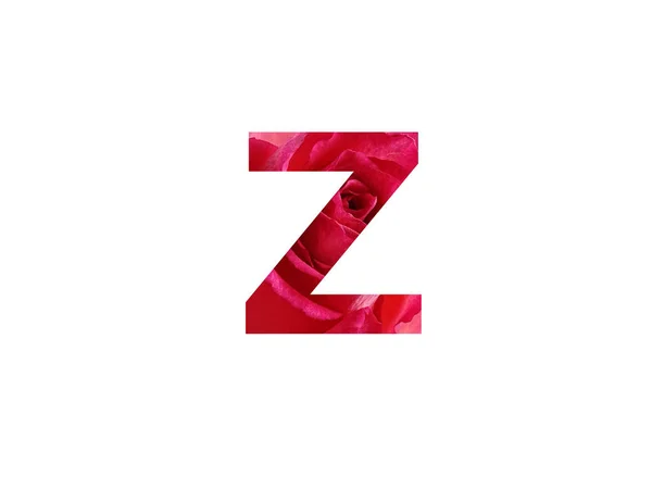字母Z由红色玫瑰的照片制成的字母Z 用白色背景隔开 — 图库照片